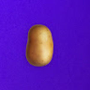 Meet your Posher, Seth